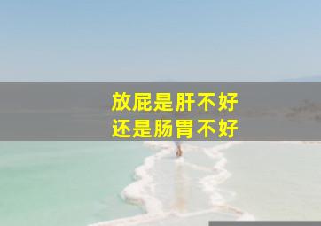 放屁是肝不好还是肠胃不好