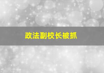 政法副校长被抓