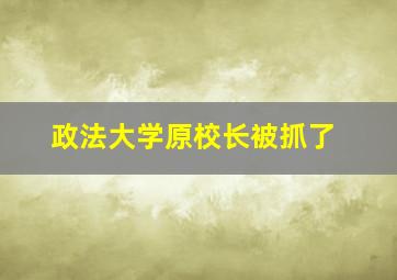 政法大学原校长被抓了