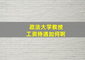 政法大学教授工资待遇如何啊