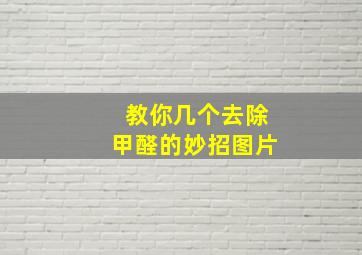 教你几个去除甲醛的妙招图片