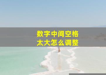 数字中间空格太大怎么调整