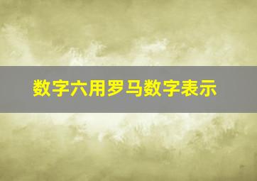 数字六用罗马数字表示