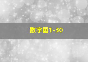 数字图1-30