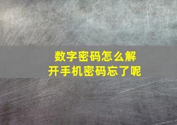 数字密码怎么解开手机密码忘了呢