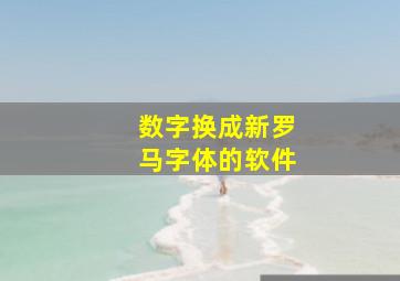 数字换成新罗马字体的软件