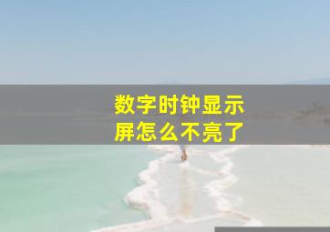 数字时钟显示屏怎么不亮了