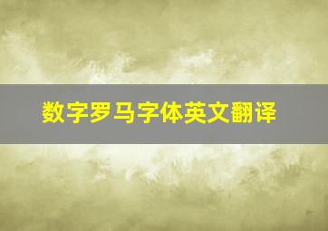 数字罗马字体英文翻译