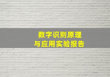 数字识别原理与应用实验报告