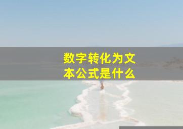 数字转化为文本公式是什么