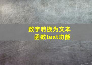 数字转换为文本函数text功能