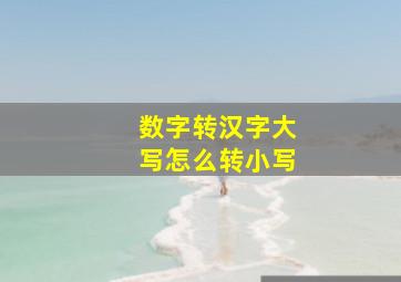 数字转汉字大写怎么转小写