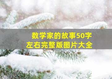 数学家的故事50字左右完整版图片大全