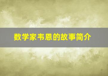 数学家韦恩的故事简介