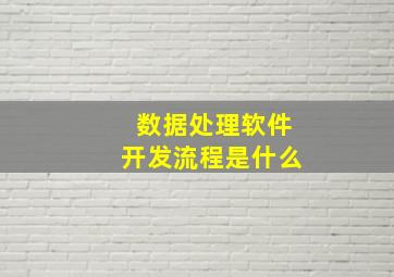 数据处理软件开发流程是什么