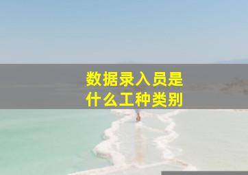 数据录入员是什么工种类别