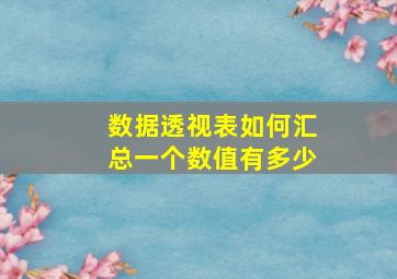 数据透视表如何汇总一个数值有多少