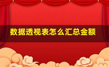 数据透视表怎么汇总金额