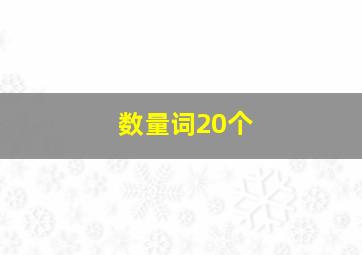 数量词20个