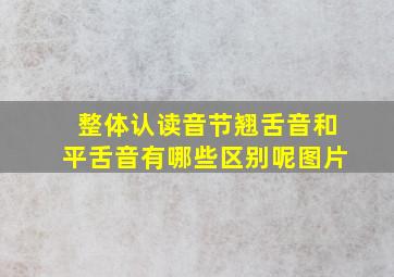 整体认读音节翘舌音和平舌音有哪些区别呢图片