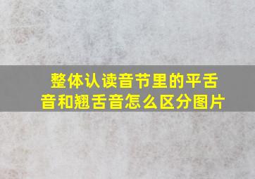 整体认读音节里的平舌音和翘舌音怎么区分图片