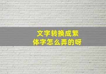 文字转换成繁体字怎么弄的呀