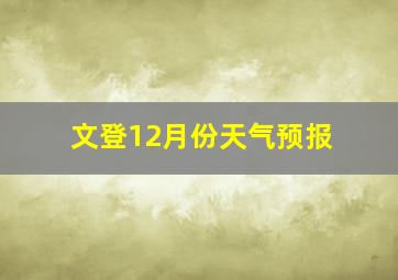 文登12月份天气预报