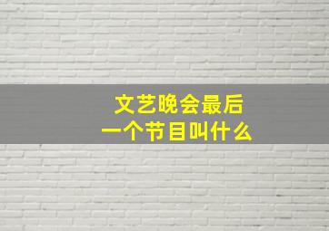 文艺晚会最后一个节目叫什么