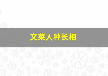 文莱人种长相