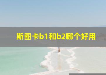 斯图卡b1和b2哪个好用