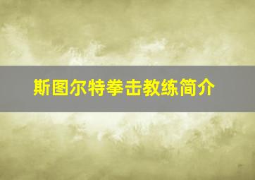 斯图尔特拳击教练简介