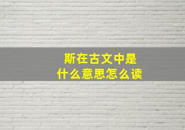 斯在古文中是什么意思怎么读