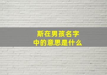 斯在男孩名字中的意思是什么