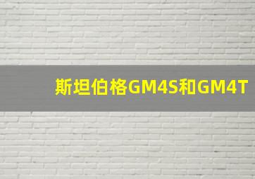 斯坦伯格GM4S和GM4T