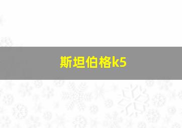 斯坦伯格k5