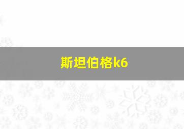 斯坦伯格k6