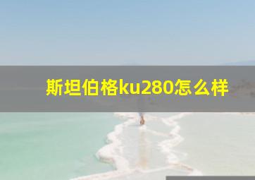 斯坦伯格ku280怎么样