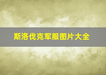 斯洛伐克军服图片大全