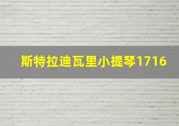 斯特拉迪瓦里小提琴1716