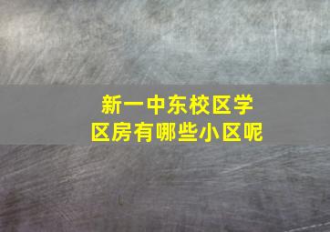 新一中东校区学区房有哪些小区呢