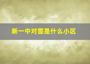 新一中对面是什么小区