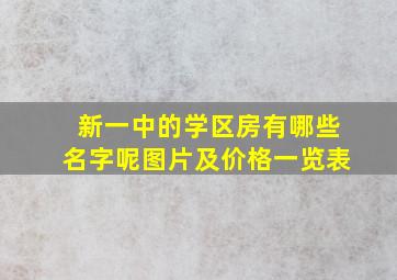 新一中的学区房有哪些名字呢图片及价格一览表