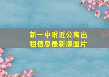 新一中附近公寓出租信息最新版图片