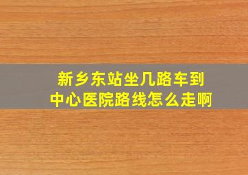 新乡东站坐几路车到中心医院路线怎么走啊