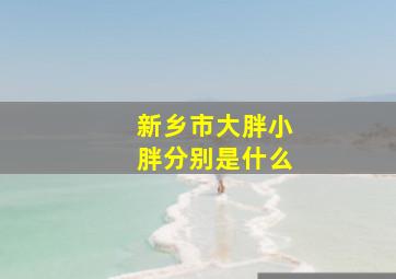 新乡市大胖小胖分别是什么