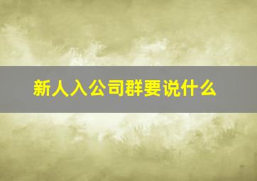 新人入公司群要说什么