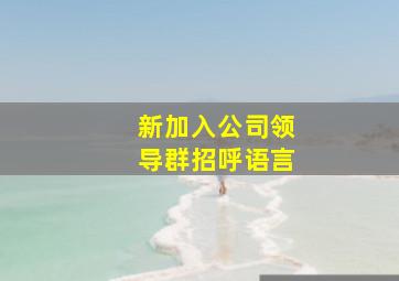 新加入公司领导群招呼语言