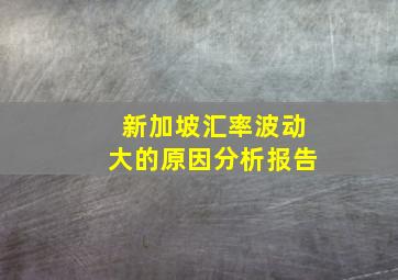 新加坡汇率波动大的原因分析报告