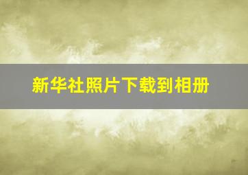 新华社照片下载到相册