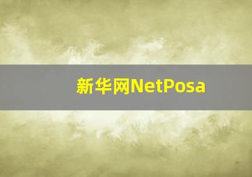 新华网NetPosa